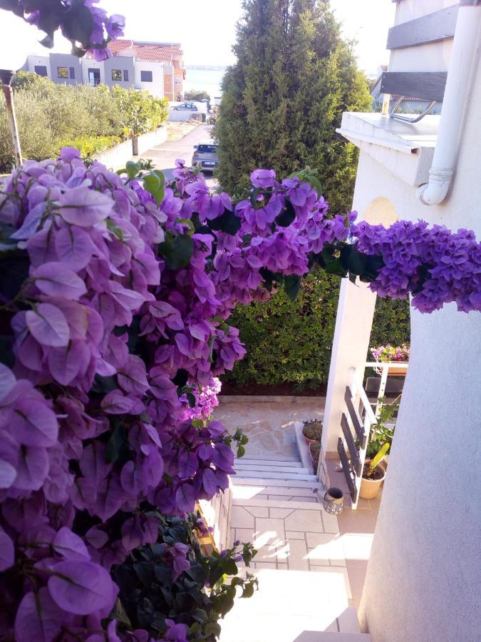 Apartman Milutin Vrsi Buitenkant foto